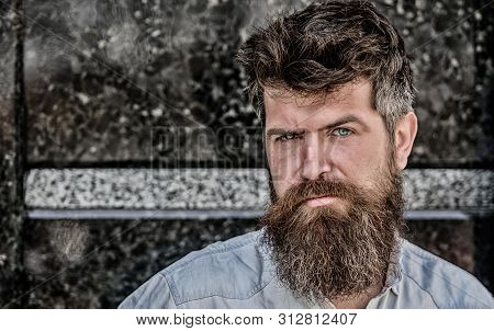 Confident Posture Of Handsome Man. Guy Masculine Appearance With Long Beard. Barber Concept. Beard G