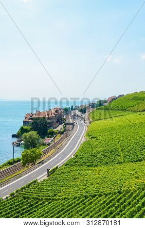 Vertical Photography Of Green Vineyards On Slope By Beautiful Lake Geneva, Switzerland. Village Riva