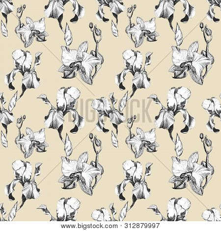 Floral Seamless Pattern With Hand Drawn Ink Iris And Orchid Flowers On Beige Background. Flowers Lin