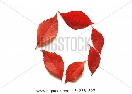Frame With Autumn Colorful Leaves Isalated On White Background. Top View. Fall Flat Lay With Place F