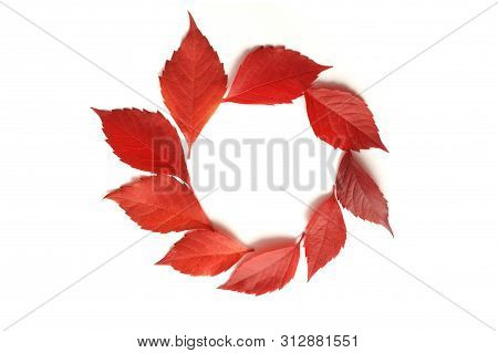 Frame With Autumn Colorful Leaves Isalated On White Background. Top View. Fall Flat Lay With Place F
