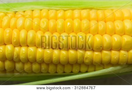 Fresh Yellow Sweet Corn Close-up. For Food Concept.