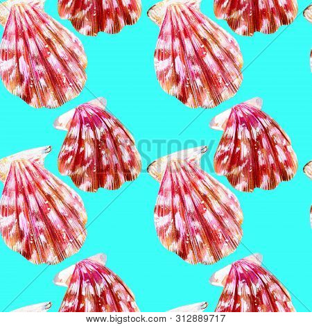 Seamless Pattern Of Isolated Sea Shells Scallops. Mother Of Pearl With Pink Clam Pectinidae On A Aqu