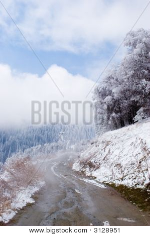 Stromy a silnici v modré mlhy v Mountain Tien Shan