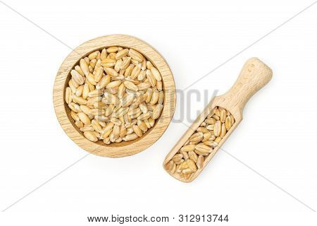 Lot Of Whole Fresh Beige Dinkel Wheat Grain In A Wooden Bowl With Wooden Scoop Flatlay Isolated On W