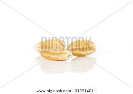 Group Of Three Whole Fresh Beige Dinkel Wheat Grain Macro Isolated On White Background