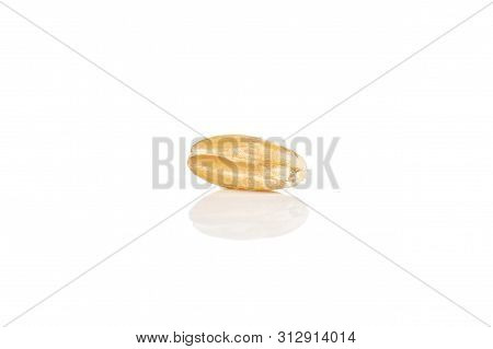 One Whole Fresh Beige Dinkel Wheat Grain Macro Isolated On White Background