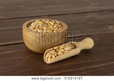Lot Of Whole Raw Fresh Beige Dinkel Wheat Grain In A Wooden Bowl With Wooden Scoop On Brown Wood