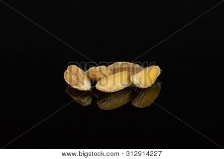Group Of Five Whole Fresh Beige Dinkel Wheat Grain Macro Isolated On Black Glass