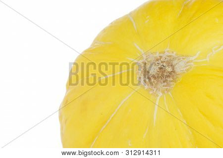 One Whole Ribby Fresh Yellow Melon Canary Macro Isolated On White Background