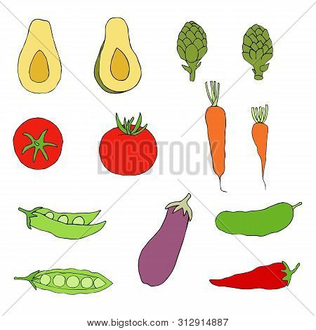A Set Of Pictures Of Vegetables For Design.  Set Vegetables Vector Illustration  Hand Draw.