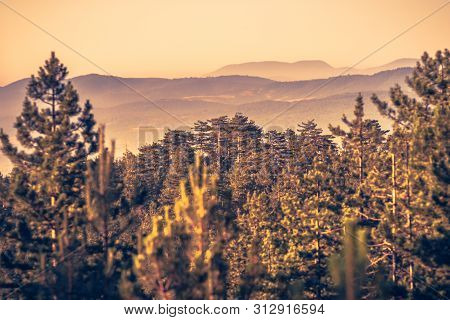 Sunrise In Mountain Landscape. Mountain In Sunrise. Sunrise In Mountain Forest Landscape. Forest And