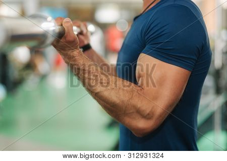 Close Up Of Young Athlete Trains In The Gym. Trians Biceps Muscules Using Barbell