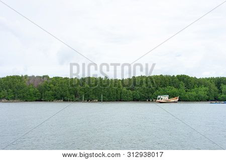 Mangrove Forest (ceriops Decandra) Also Known As The Golden Meadow Prong Destinations Of Rayong, Tha