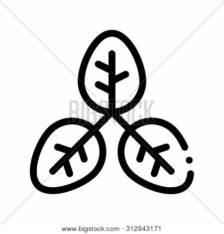 Bush Offshoot Plant Leaves Thin Line Icon. Organic Cosmetic, Natural Component Plant Leaf Linear Pic