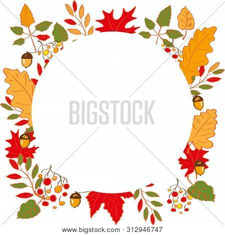 A Wreath Of Autumnal Orange And Yellow Leaves, Rowan Berries And Acorns. Isolated Art On White Backg
