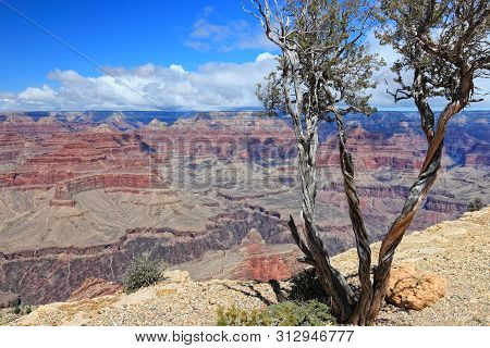 Maricopa Point View. Grand Canyon National Park In Arizona, United States.