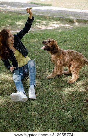 A Puppy Briard Playing With His Owner