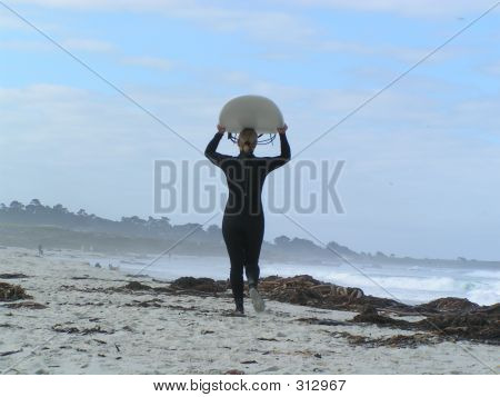 Surfer Girl