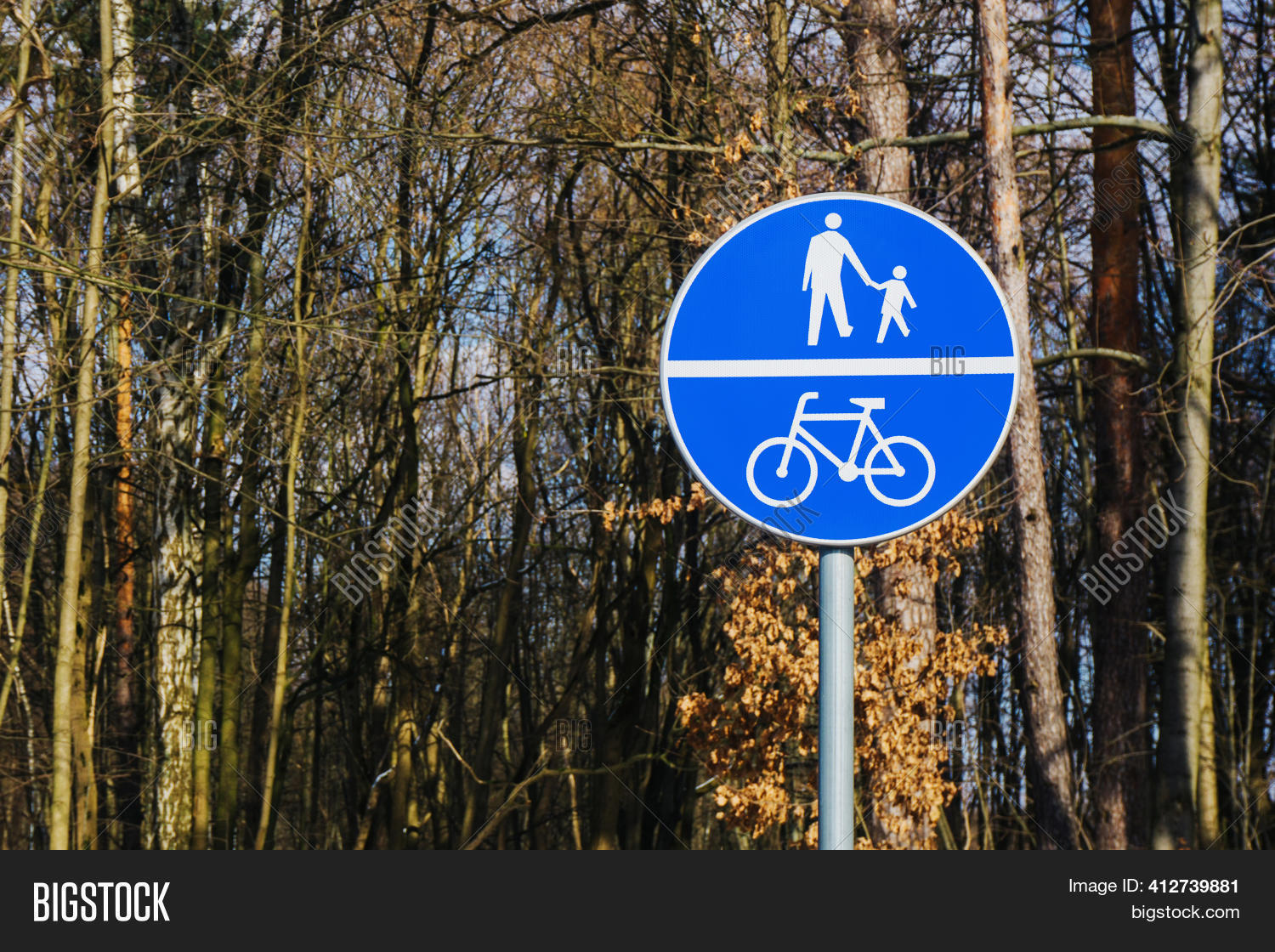 Recreation Walk Cycle Image & Photo (Free Trial) | Bigstock