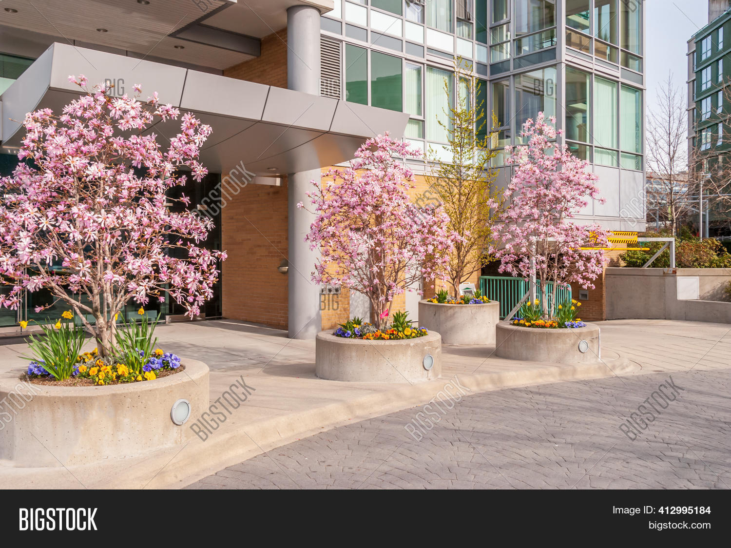 Modern Apartment Image & Photo (Free Trial) Bigstock