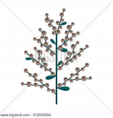 Simple Minimalistic Green Branch Of Pemphigus With Beige-brown Berries. Floral Collection Of Elegant