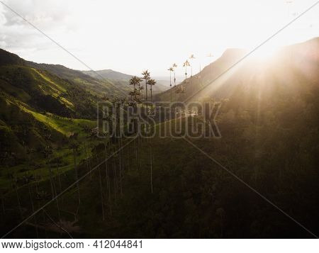 Aerial Outdoor Nature Landscape Panorama Of Tall Wax Palm Trees In Valle Del Cocora Valley In Salent