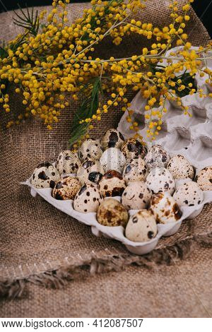 Quail Eggs In Eco-friendly Packaging. Vertical Image. Happy Easter Day.