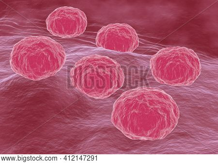 Chlamydia Trachomatis Is A Sexually Transmitted Bacterium That Causes Chlamydiasis In Humans. 3d Ill