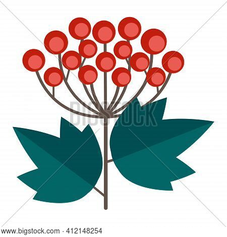 Simple Minimalistic Green Branch Of A Viburnum With Leaves And Red Berries. Floral Collection Of Col