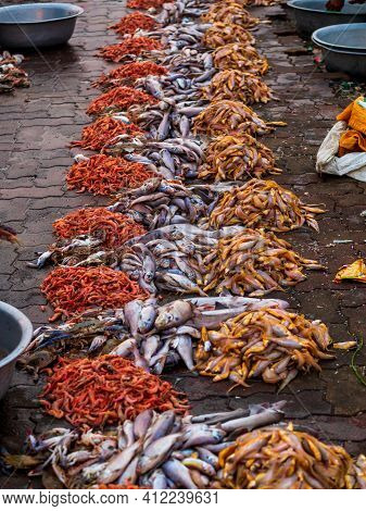Wide Variety Of Fresh Fish Stacked Together At One Of The Oldest Fish Market In Mumbai Called Bhauch
