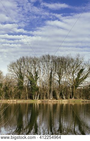 Landscape With Trees, Reflecting In The Water France