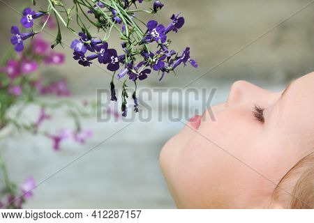 Little Girl Sniffing  Flower  Lobelia Erinus  . Summer  Season Concept
