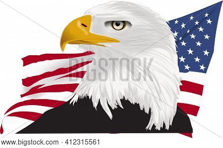 American Bald Eagle Drawing With Yellow Beak And American Flag Back Ground As A Vector