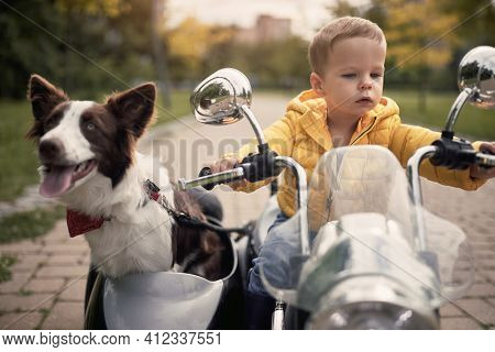 close-up of a cute little caucasian boy driving a dog in sidecar of electrical toy motorcycle