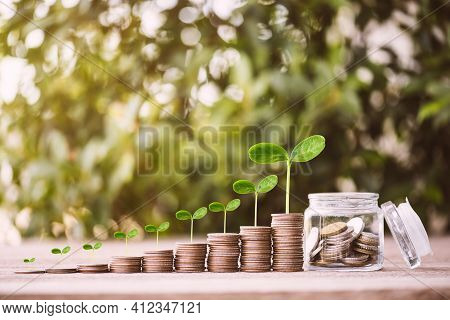 Close Up Of Stacking Plant Growt On Gold Dollars Coins With Money In The Jar On Wooden Table .the Co
