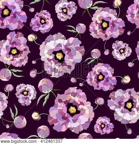 Seamless Pattern Peony. Drawn Vintage Flowers Peonies Branches, Bouquets On Purple Background. Big F