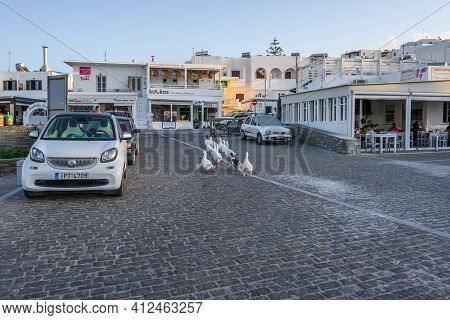 Paros, Greece - September 27, 2020: A Gaggle Of White Geese On The Street In Naoussa On Paros Island