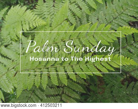 Palm Sunday. Hosanna To The Highest. Happy Palm Sunday Concept. On Blurry Background Of Green Fern L