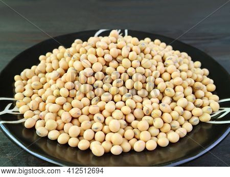 Pile Of Dried Soybeans In A Black Plate