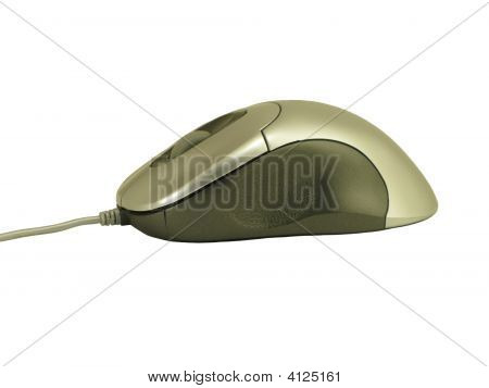 Computer Mouse On A White Background