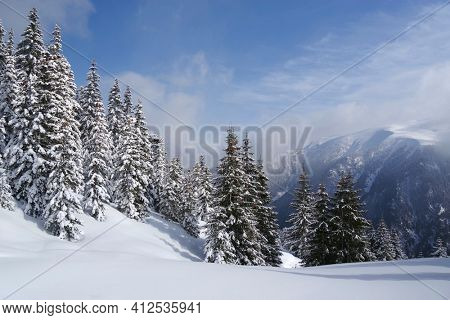 Winter in Godeanu Mountains, Carpathians, Romania, Europe