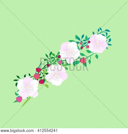A Wreath Of Plants, Flowers And Berries. Decoration. Strawberries And Cherry Blossoms. Stock Vector 
