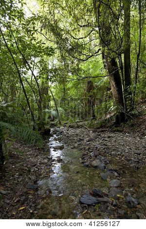 Pelorus most Scenic Reserve na jižním ostrově Nového Zélandu