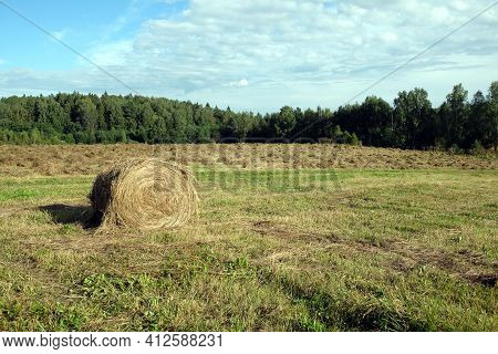 Rural Landscape With Summer Field With Many Rolled Haystack Close-up On Front And Mowed Field On The