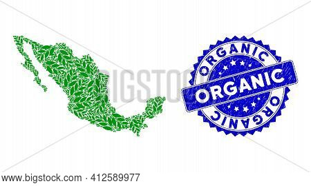 Mexico Collage Map Composed From Coca Plant Leaves Icons, And Organic Grunge Seal Stamp. Vector Coca