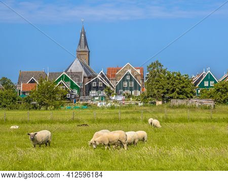 Traditional Dutch Village Scene With Colorful Wooden Houses And Church With Sheep On The Foreground 