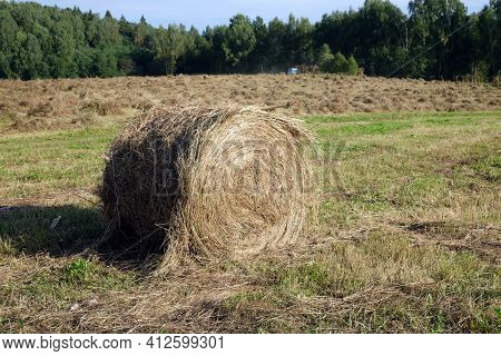Rural Landscape With Summer Field With Rolled Haystack Close-up On Front And Mowed Field On The Back