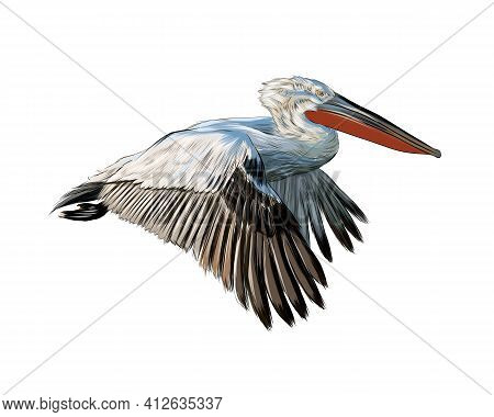 Pelican From A Splash Of Watercolor, Colored Drawing, Realistic. Vector Illustration Of Paints