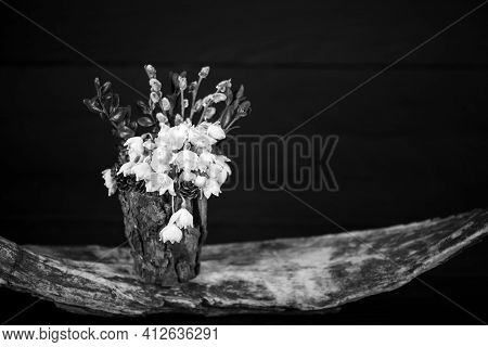 Leucojum Vernum In A Decorative Vase. Is The First Spring Snowflake. Decorations And Interior